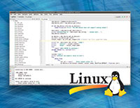 Linux