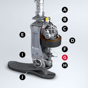 Reemplazo de una extremidad humana
