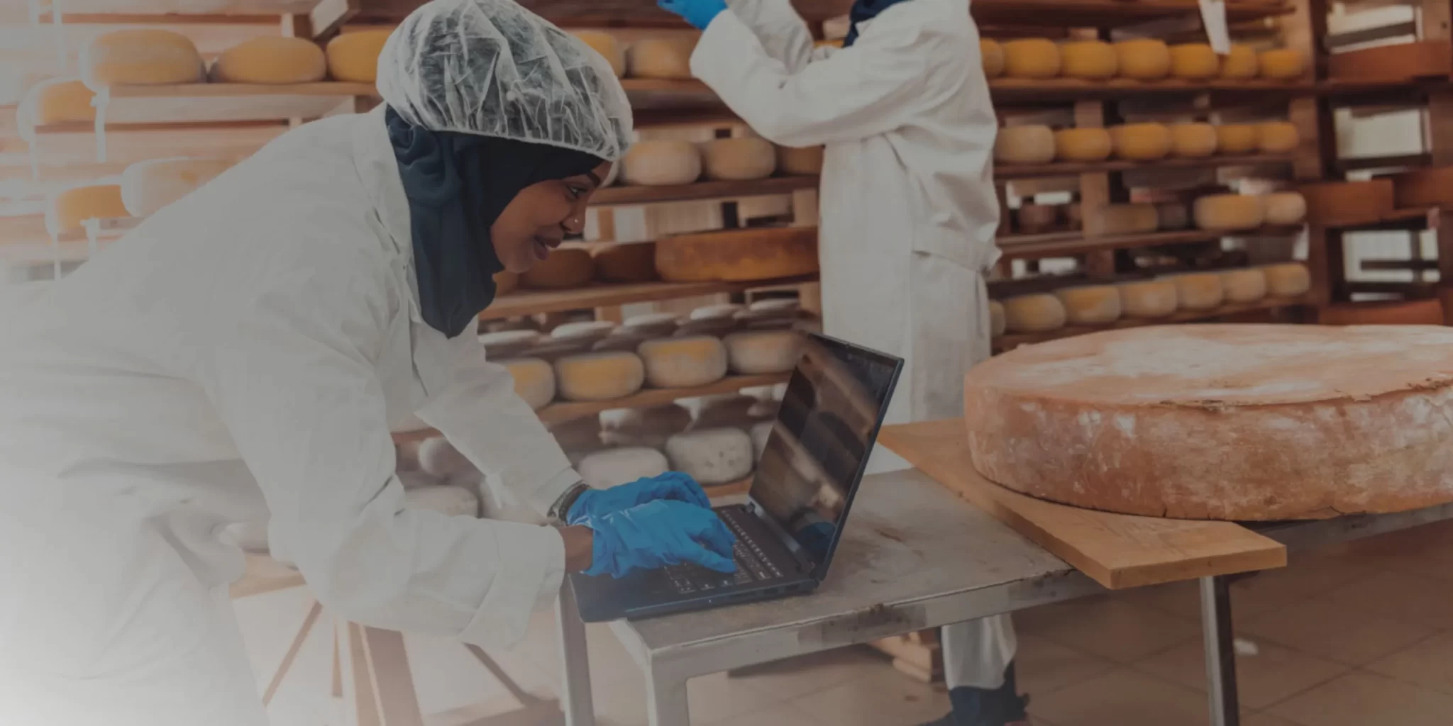 Cómo el Software de MadgeTech Simplifica el Análisis de Datos para Todas las Industrias