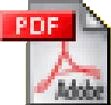 Icono PDF