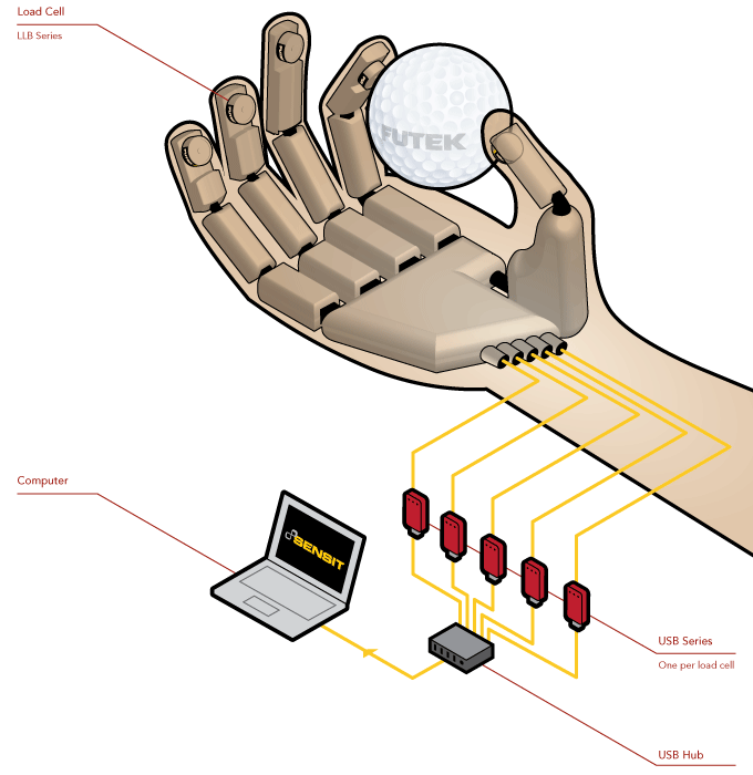 monitoreo conductual de sujetos