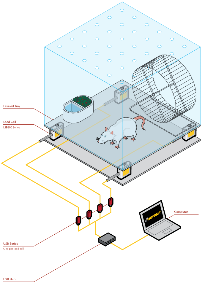 monitoreo conductual de sujetos