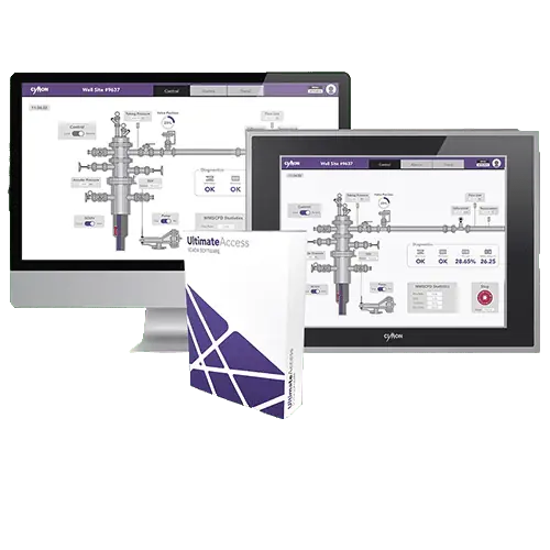 Desarrollo y Runtime