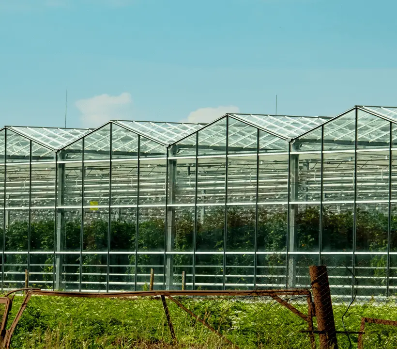 Agroindustria