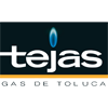 cliente de logicbus: tejas gas de toluca - logo